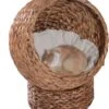 PawHut Kattenmand Rotan Kattennest Kattenbed Met Kussen Huisdierbed Bruin D30-104 -Kattenbenodigdheden 1031x1200 1