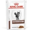 Royal Canin Gastro Intestinal Portie - 12 X 85 Gram -Kattenbenodigdheden 1042x1200 1