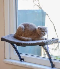 Hobipets - Kattenmand Raam - 5 Zuignappen - Hangmat Kat Raam -Kattenbenodigdheden 1049x1200 3