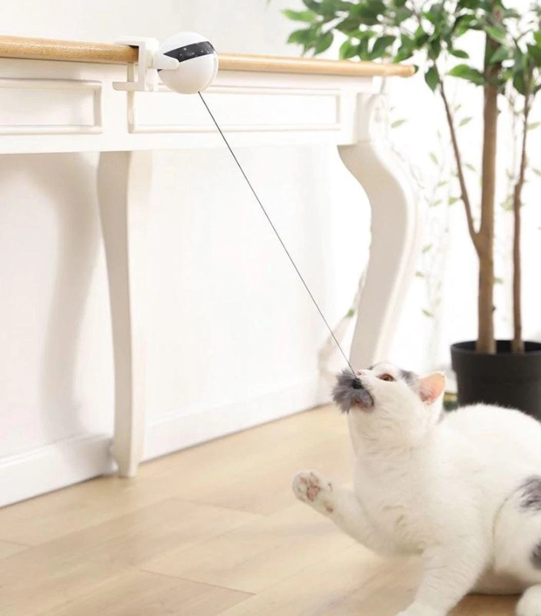 Merkloos Kattenspeelgoed - Katten Speelgoed - Katten Speeltje - Katten Bal - Katten - Kattenhengel - Kitten Speelgoed - Kattenspeeltjes - Elektrische - Muis - Automatische Hengel - Bal - Poes - Katten - Prooi - Kat - Poesjes - Interactief Kattenspeelgoed 4 Merkloos Kattenspeelgoed - Katten Speelgoed - Katten Speeltje - Katten Bal - Katten - Kattenhengel - Kitten Speelgoed - Kattenspeeltjes - Elektrische - Muis - Automatische Hengel - Bal - Poes - Katten - Prooi - Kat - Poesjes - Interactief Kattenspeelgoed - Afbeelding 2