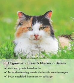 Organimal - Blaas En Nieren In Balans - Kat - O.a. Bij Blaasontsteking En Blaasgruis - 45 Tabletten A 700mg 7 Organimal - Blaas En Nieren In Balans - Kat - O.a. Bij Blaasontsteking En Blaasgruis - 45 Tabletten A 700mg -Kattenbenodigdheden 1071x1200 2