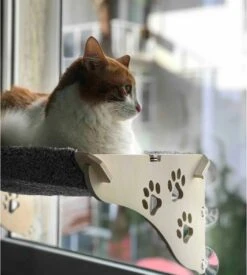 Merkloos Arnillo - Kattenhangmat - Kattenhangmat Raam - Kattenmand - Kattenbed - Kattenbed Raam - Kat Decoratie - Houten Kattenhangmat 11 Merkloos Arnillo - Kattenhangmat - Kattenhangmat Raam - Kattenmand - Kattenbed - Kattenbed Raam - Kat Decoratie - Houten Kattenhangmat -Kattenbenodigdheden 1076x1200 1