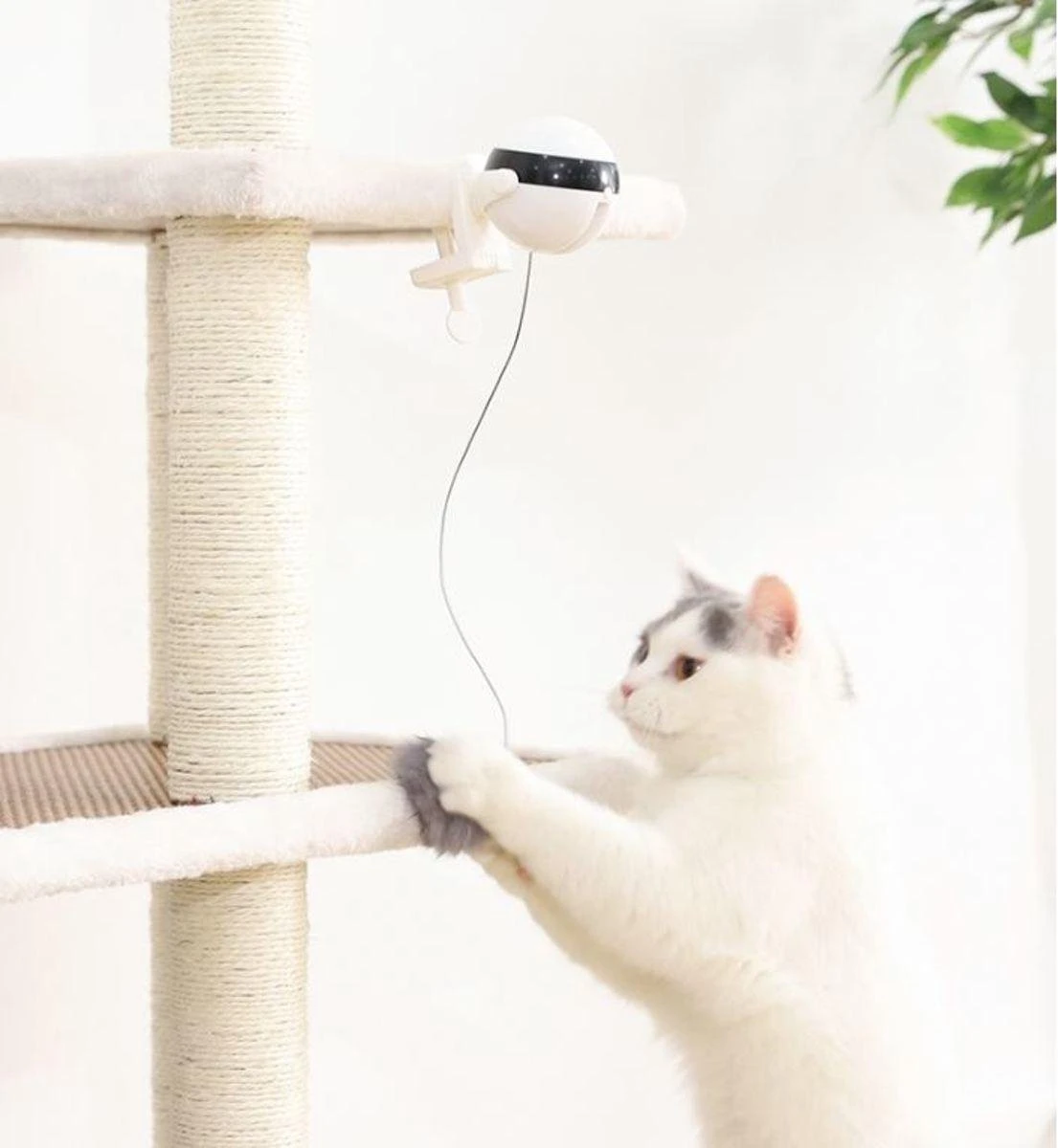 Merkloos Kattenspeelgoed - Katten Speelgoed - Katten Speeltje - Katten Bal - Katten - Kattenhengel - Kitten Speelgoed - Kattenspeeltjes - Elektrische - Muis - Automatische Hengel - Bal - Poes - Katten - Prooi - Kat - Poesjes - Interactief Kattenspeelgoed 8 Merkloos Kattenspeelgoed - Katten Speelgoed - Katten Speeltje - Katten Bal - Katten - Kattenhengel - Kitten Speelgoed - Kattenspeeltjes - Elektrische - Muis - Automatische Hengel - Bal - Poes - Katten - Prooi - Kat - Poesjes - Interactief Kattenspeelgoed - Afbeelding 6