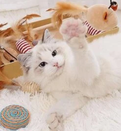 GIZMO Luxe Kattenspeeltjes Set - 7 Speeltjes - Interactieve Kattenhengel, Kattenspeelgoed & Speelmuisjes - Kitten Speeltjes 17 GIZMO Luxe Kattenspeeltjes Set - 7 Speeltjes - Interactieve Kattenhengel, Kattenspeelgoed & Speelmuisjes - Kitten Speeltjes -Kattenbenodigdheden 1108x1200 1