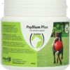 Excellent Psyllium Plus Hond - Ter Ondersteuning Bij Dunne Of Vastzittende Ontlasting Of Voor Het Stimuleren Van De Darmen - Geschikt Voor Honden - 100 Gram -Kattenbenodigdheden 1137x1200