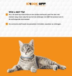 Knock Off Vlooien-tekenband – 100% Natuurlijke Vlooienbestrijding - Zonder Schadelijke Pesticiden Of Gif – Effectief Tot 4 Maanden – Nederlands- En Franstalige Handleiding – Regen- En Waterbestendig - Geschikt Voor Katten – 35 Cm 8 Knock Off Vlooien-tekenband – 100% Natuurlijke Vlooienbestrijding - Zonder Schadelijke Pesticiden Of Gif – Effectief Tot 4 Maanden – Nederlands- En Franstalige Handleiding – Regen- En Waterbestendig - Geschikt Voor Katten – 35 Cm -Kattenbenodigdheden 1139x1200 2