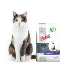 Prins VitalCare Protection Adult Fit Kattenvoer 5 Kg -Kattenbenodigdheden 1139x1200