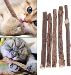 Matatabi Kauwstaafjes Voor Katten - 5x Matabi Stokjes - Kattenspeelgoed - 100% Natuurlijke Sticks - Plantaardig - Silver Vine Kauwstaven Voor Kittens - Kattenkruid Effect - Gebitsverzorging - 5 Stuks Vardaan Kauwstaven Voor Katten - XS - 11 Cm -Kattenbenodigdheden 1143x1200