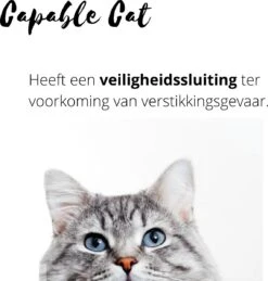 Capable Cat Vlooienband Kat | Vlooien | Luizen | Teken | Mijten | 8 Maanden Bescherming | Katten 12 Capable Cat Vlooienband Kat | Vlooien | Luizen | Teken | Mijten | 8 Maanden Bescherming | Katten -Kattenbenodigdheden 1143x1200 3