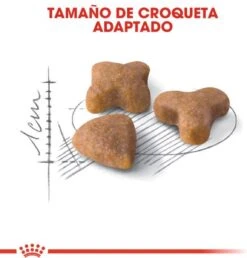 Royal Canin Sensible 33 - Kattenvoer - 4 Kg -Kattenbenodigdheden 1149x1200