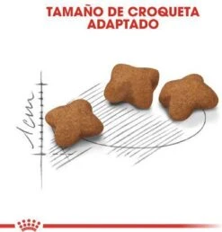 Royal Canin Kitten Sterilised - Kattenvoer - 2 Kg -Kattenbenodigdheden 1151x1200