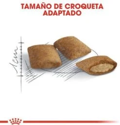 Royal Canin Ageing 12+ - Kattenvoer - 4 Kg -Kattenbenodigdheden 1156x1200