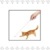 Merkloos EPIN | Kat Laserlampje | Kattenspeelgoed | Laserlamp |Met Mini Zaklamp 2 In 1 | Batterijen Inbegrepen | ZWART -Kattenbenodigdheden 1164x1200 1