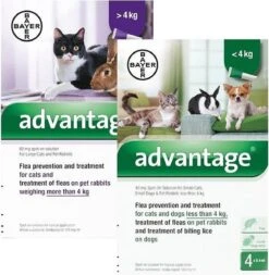 Advantage Kat 80 - 4 Pipet -Kattenbenodigdheden 1170x1200 1