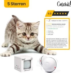 Catchit!® Interactieve Zelfrollende Bal Katten - Kattenspeeltjes - Inclusief USB Kabel En Staartjes - Kattenspeelgoed - Smart - Grijs -Kattenbenodigdheden 1171x1200 2
