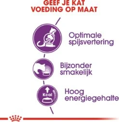 Royal Canin Sensible 33 - Kattenvoer - 4 Kg -Kattenbenodigdheden 1177x1200