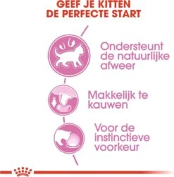 Royal Canin Wet Kitten (12X85 GR) -Kattenbenodigdheden 1179x1200 2