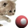Cheerble Mini Ball 2.0 - Slimme Interactieve Zelf Rollende Bal Voor Katten - 3 Speelmodi - Kattenspeeltjes - USB Oplaadbaar - Rood 2 Cheerble Mini Ball 2.0 - Slimme Interactieve Zelf Rollende Bal Voor Katten - 3 Speelmodi - Kattenspeeltjes - USB Oplaadbaar - Rood -Kattenbenodigdheden 1184x1200 2