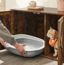 Kattenbak Kast, Kattentoilet, Vintage -Kattenbenodigdheden 1185x1200 4