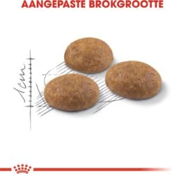 Royal Canin Outdoor - Kattenvoer - 4 Kg -Kattenbenodigdheden 1186x1200