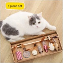 Kattenspeelgoed - Set Met 7 Kattenspeeltjes - Complete Set - Kattenhengel - Speelmuis -Kattenbenodigdheden 1186x1200 8