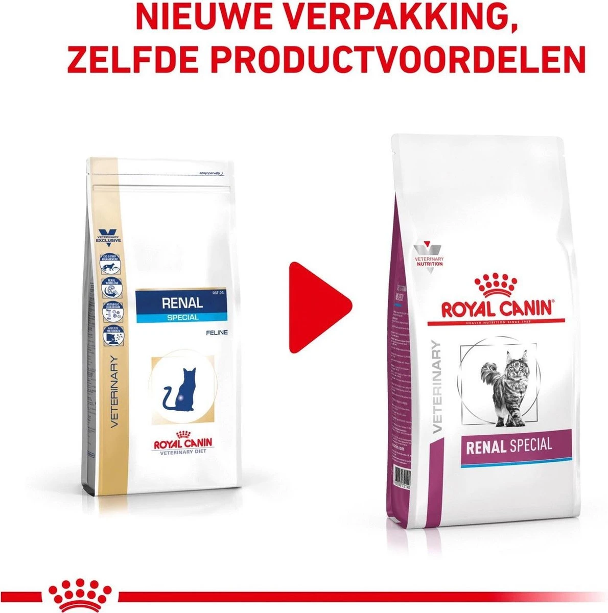 Royal Canin Renal Special - Kattenvoer - 4 Kg 4 Royal Canin Renal Special - Kattenvoer - 4 Kg - Afbeelding 2
