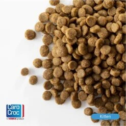 Kattenbenodigdheden -Kattenbenodigdheden 1198x1200