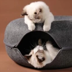 Merkloos A.K.A. Kattentunnel En Kattenmand In-1 – Kattenspeelgoed Speeltunnel Kattenhuis – Kattenhol Rond Kattenspeeltjes - Cat Cave Donut - Antraciet Vilt -Kattenbenodigdheden 1198x1200 8