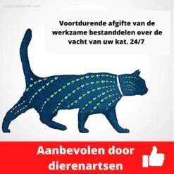 Biologische Vlooien- En Tekenband Voor Katten - BLAUW - Zonder Giftige Pesticiden - Veilig En Verantwoord 13 Biologische Vlooien- En Tekenband Voor Katten - BLAUW - Zonder Giftige Pesticiden - Veilig En Verantwoord -Kattenbenodigdheden 1199x1200 13