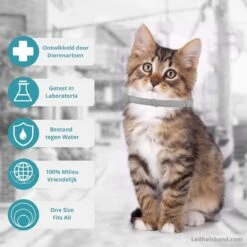 Biologische Vlooien- En Tekenband Voor Katten - BLAUW - Zonder Giftige Pesticiden - Veilig En Verantwoord 15 Biologische Vlooien- En Tekenband Voor Katten - BLAUW - Zonder Giftige Pesticiden - Veilig En Verantwoord -Kattenbenodigdheden 1199x1200 14