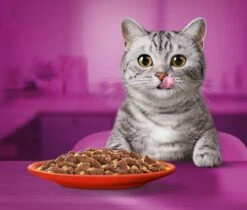 Whiskas 1+ Natvoer - Classic - Selectie In Gelei - Maaltijdzakjes 60 X 85 G 11 Whiskas 1+ Natvoer - Classic - Selectie In Gelei - Maaltijdzakjes 60 X 85 G -Kattenbenodigdheden 1200x1019 1