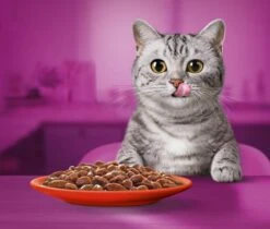 Whiskas 1+ Natvoer - Classic - Selectie In Saus - Maaltijdzakjes 80 X 85 G -Kattenbenodigdheden 1200x1019 2