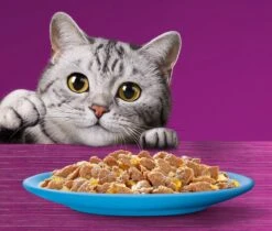 Whiskas 7+ Natvoer - Vis - Selectie In Gelei - Maaltijdzakjes 48 X 85 G -Kattenbenodigdheden 1200x1019