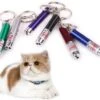 Merkloos Laser Lampje Voor Kat - Met Mini Zaklamp - Kattenlampje -Kattenbenodigdheden 1200x1021 1
