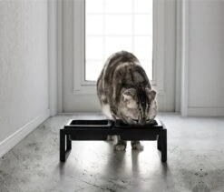 Yamazaki Eetbak - Voederbak Kat - Tweeledig - Zwart 16 Yamazaki Eetbak - Voederbak Kat - Tweeledig - Zwart -Kattenbenodigdheden 1200x1025 3