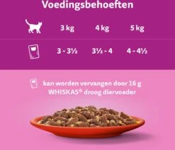 Whiskas 1+ Natvoer - Classic - Selectie In Gelei - Maaltijdzakjes 60 X 85 G 9 Whiskas 1+ Natvoer - Classic - Selectie In Gelei - Maaltijdzakjes 60 X 85 G -Kattenbenodigdheden 1200x1030 1