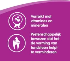 Whiskas Dentabites Kattensnoepjes - Kip - 8 X 40g -Kattenbenodigdheden 1200x1033 5