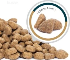 Husse Opus Lynx Senior Graanvrij Kattenvoer - 7 Kg -Kattenbenodigdheden 1200x1036 1