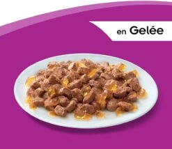 Whiskas 1 - Kattenvoer - Gehydrateerd - In Verschillende Smaken - 84 Stuks (84 X 100 G) -Kattenbenodigdheden 1200x1038 1