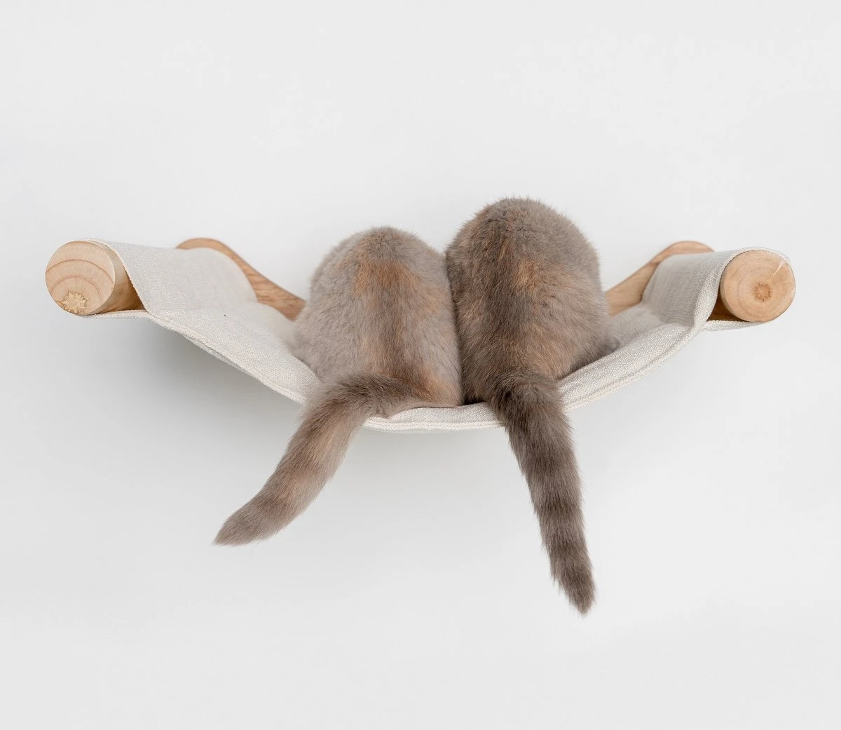 RHRQuality Wandmeubel Wandmontage Klimmuur Kat 53 X 43cm Luxe Hangmat XXL Creme Klim Wand Muur Krabpaal Katten Muurbevestiging 9 RHRQuality Wandmeubel Wandmontage Klimmuur Kat 53 X 43cm Luxe Hangmat XXL Creme Klim Wand Muur Krabpaal Katten Muurbevestiging - Afbeelding 7