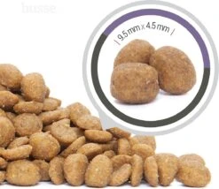 Husse Katt Urinary - Kattenvoer Blaasgruis - 2 Kg -Kattenbenodigdheden 1200x1041