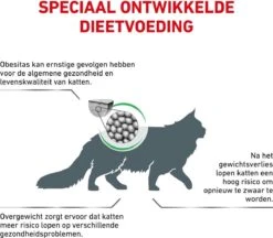 Royal Canin Satiety Weight Management - Kattenvoer - 6 Kg -Kattenbenodigdheden 1200x1050 1