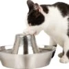 PetSafe® Seaside Stainless Steel Pet Fountain - RVS Drinkfontein Voor Katten En Kleine Honden - Water Borrelt Zacht Over De Toren - Door Het Design Van Alle Kanten Bereikbaar - 1,8 Liter - PetSafe Seaside -Kattenbenodigdheden 1200x1055 2