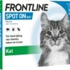 Frontline Spot-On Anti Vlooienmiddel Kat - 6 Pipetten -Kattenbenodigdheden 1200x1057 2