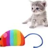 Merkloos EPIN | Pluche Regenboog Speelmuis | Katten Speelgoed | Speelmuizen | Speel Muisje -Kattenbenodigdheden 1200x1057 4