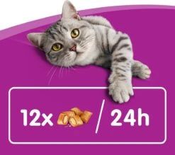 Whiskas Temptations Kattensnacks - Kip En Kaas - 8 X 60 Gr 12 Whiskas Temptations Kattensnacks - Kip En Kaas - 8 X 60 Gr -Kattenbenodigdheden 1200x1064 4