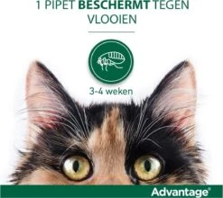 Bayer Anti Vlooienmiddel Advantage 80 > 4 Kg - 4 X 0,8 Ml -Kattenbenodigdheden 1200x1070 3