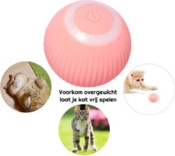Otiume Slimme Katten Speeltje - Interactieve Zelf Rollende Bal Voor Katten - Kattenspeeltjes - USB Oplaadbaar- Turquoise 14 Otiume Slimme Katten Speeltje - Interactieve Zelf Rollende Bal Voor Katten - Kattenspeeltjes - USB Oplaadbaar- Turquoise -Kattenbenodigdheden 1200x1072