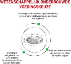 Royal Canin Diabetic - Kattenvoer - 3,5 Kg -Kattenbenodigdheden 1200x1077