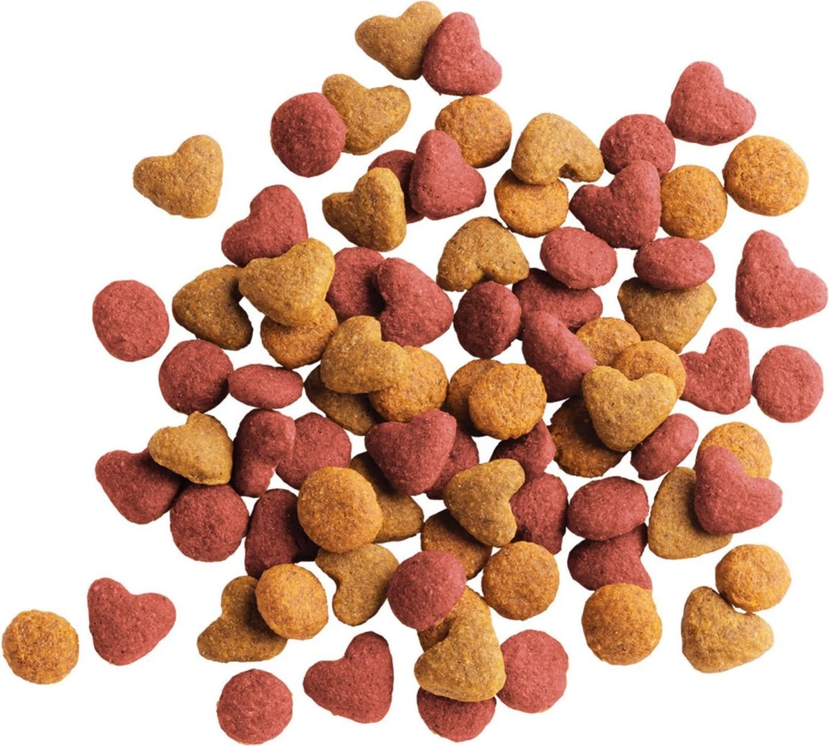 Lara Kitten (2 KG) 5 Lara Kitten (2 KG) - Afbeelding 3